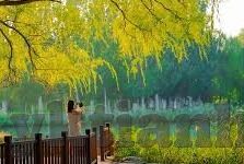 大象传媒av-探索大象传媒AV的多元化影响与未来展望