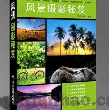 中国成人免费视频-中国成人教育视频的多元视角与价值